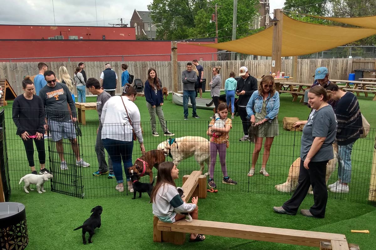 Having a puppy day at The Bark!