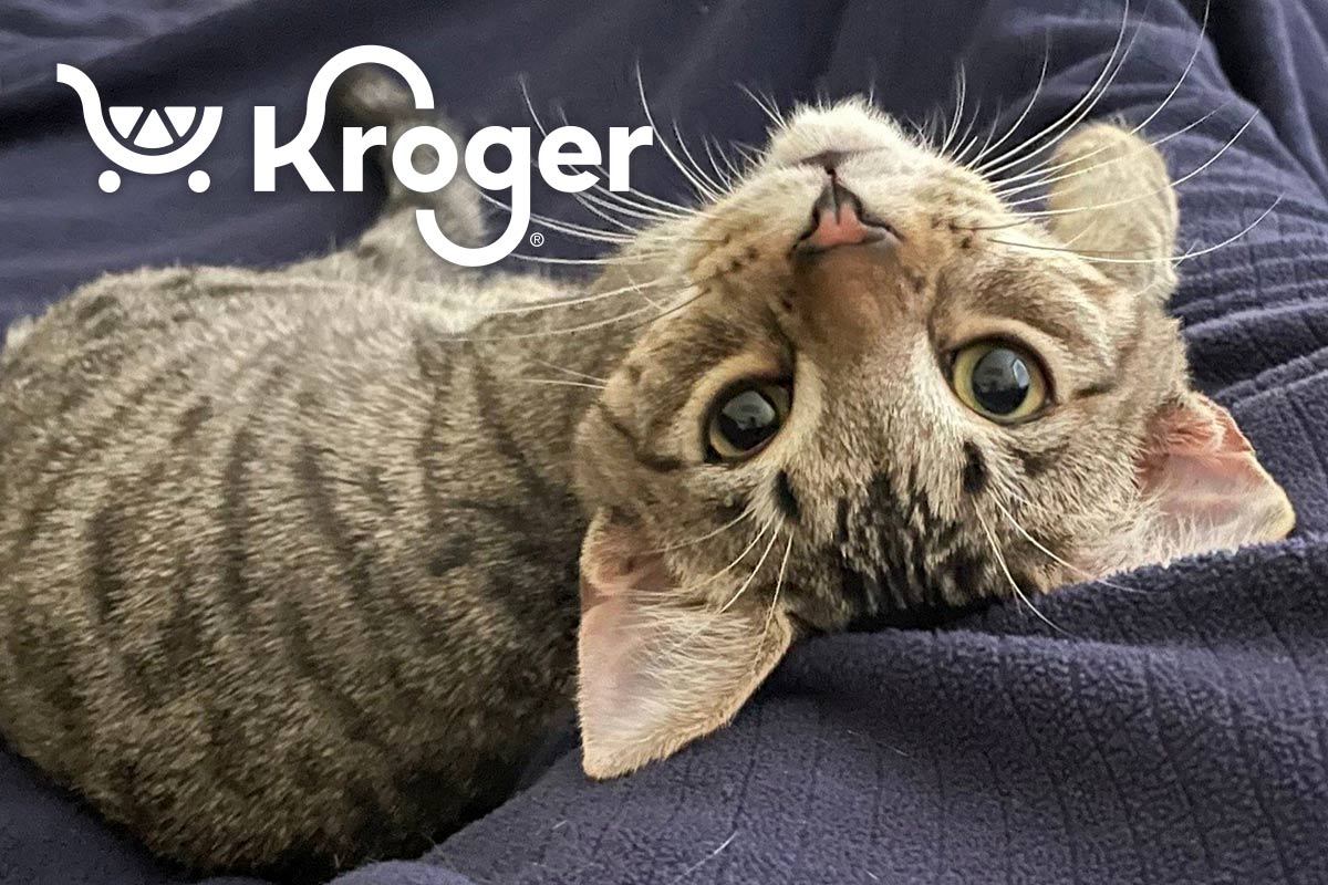 Cat with Kroger logo