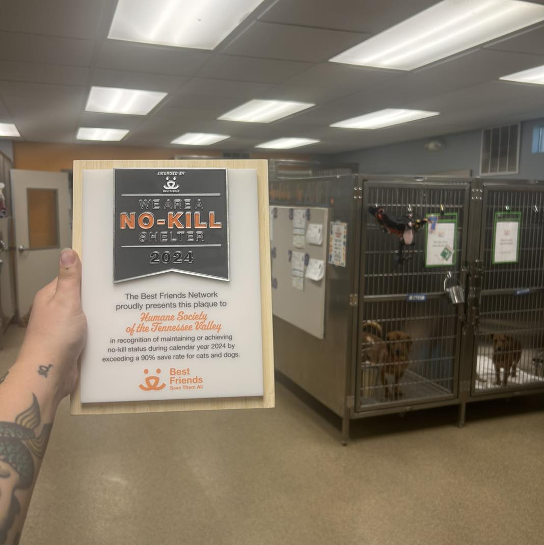 Celebrating No-Kill Status: 98% Save Rate!