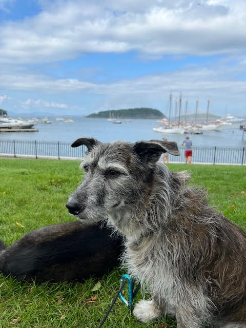 Once Adopted, Forever Loved: Charlotte’s Story