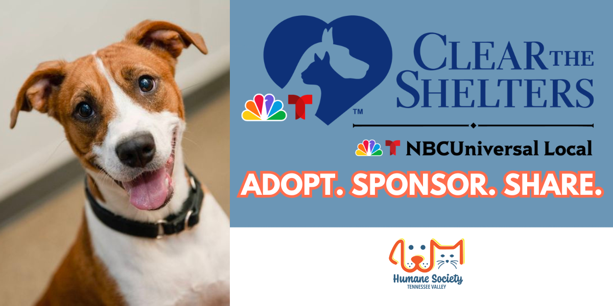 August’s Clear The Shelter: Home for Every Paw