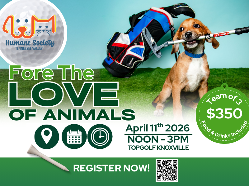 Fore The Love of Animals: A Topgolf Fundraiser