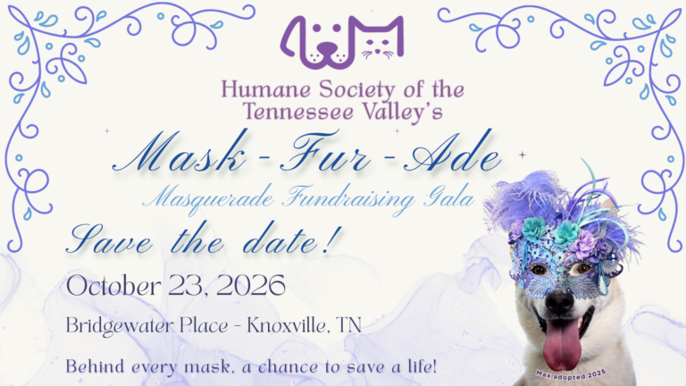 Save the Date: Mask-Fur-Ade Gala