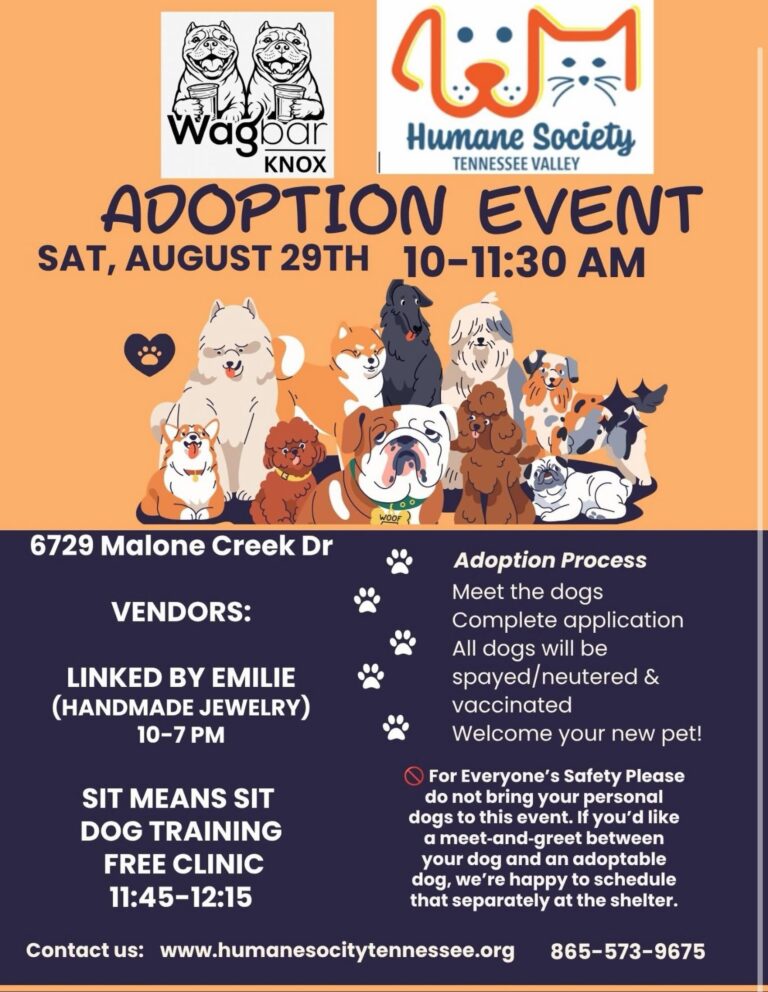 Adoption Event at Wagbar Knox!